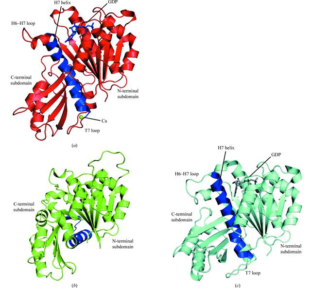 [Figure 1]