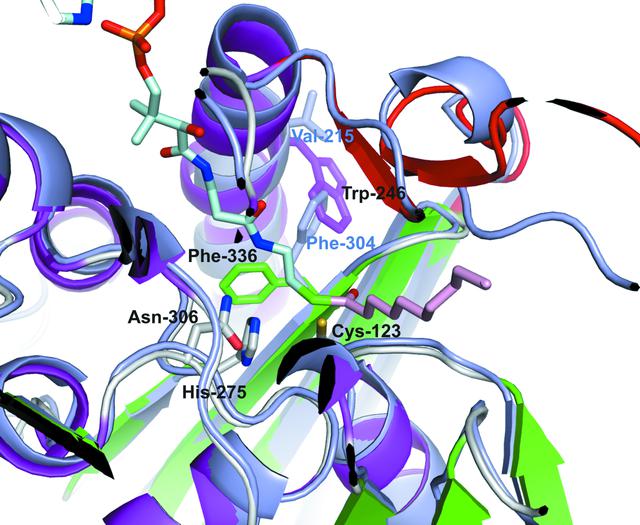 [Figure 4]
