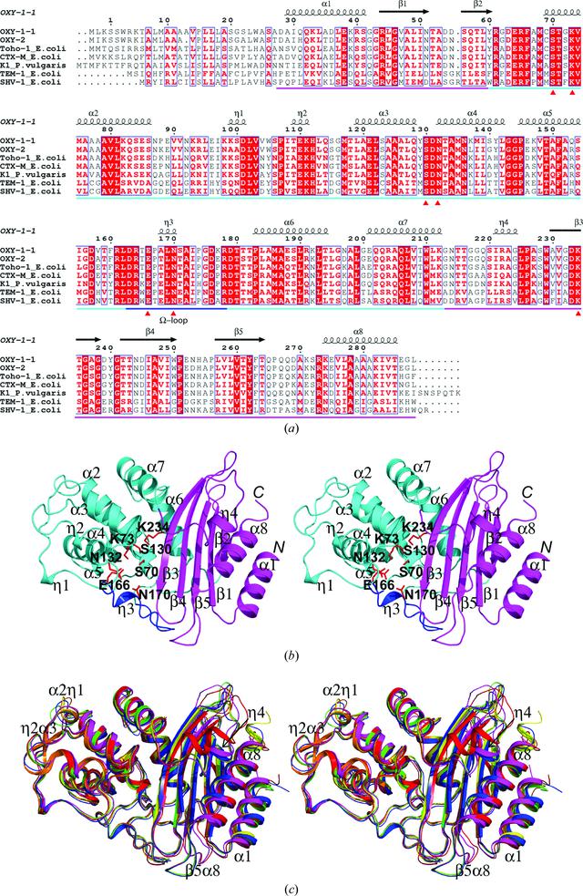 (IUCr) Structural insights into the broadened substrate profile of the ...