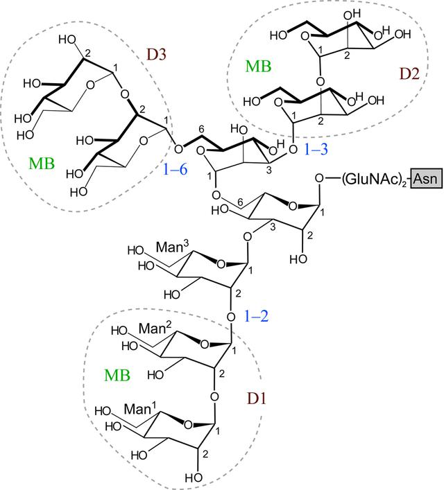 [Figure 2]