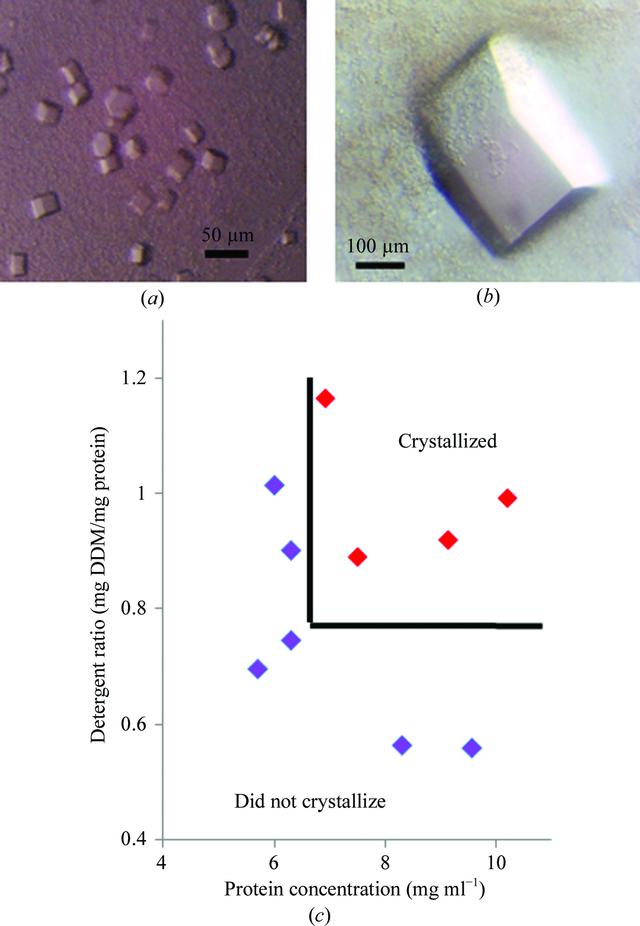 [Figure 2]