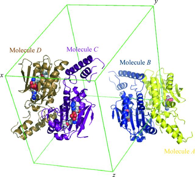 [Figure 1]