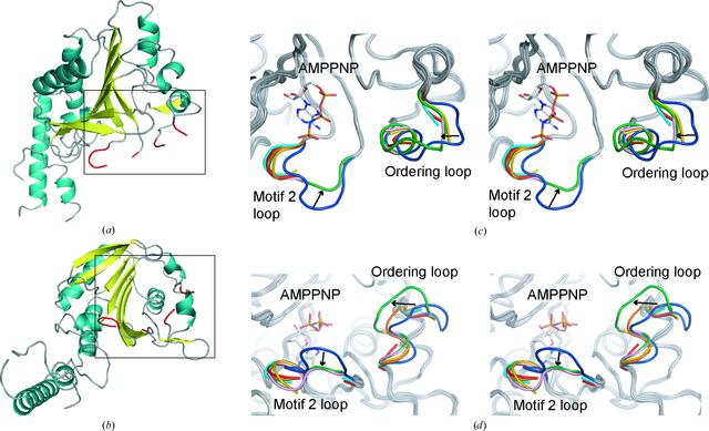 [Figure 4]