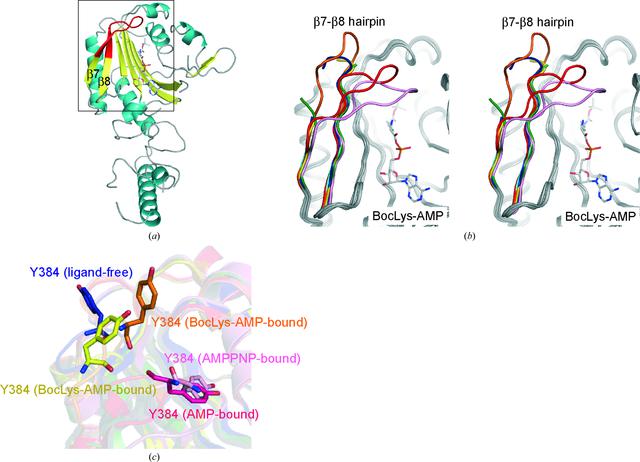 [Figure 5]