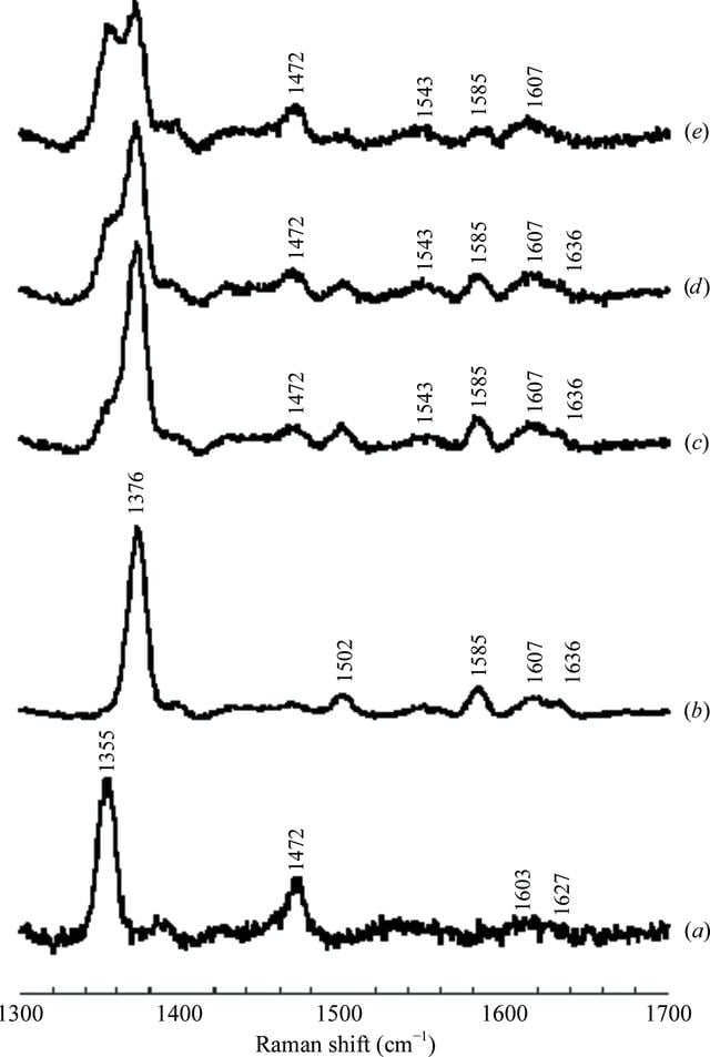 [Figure 1]