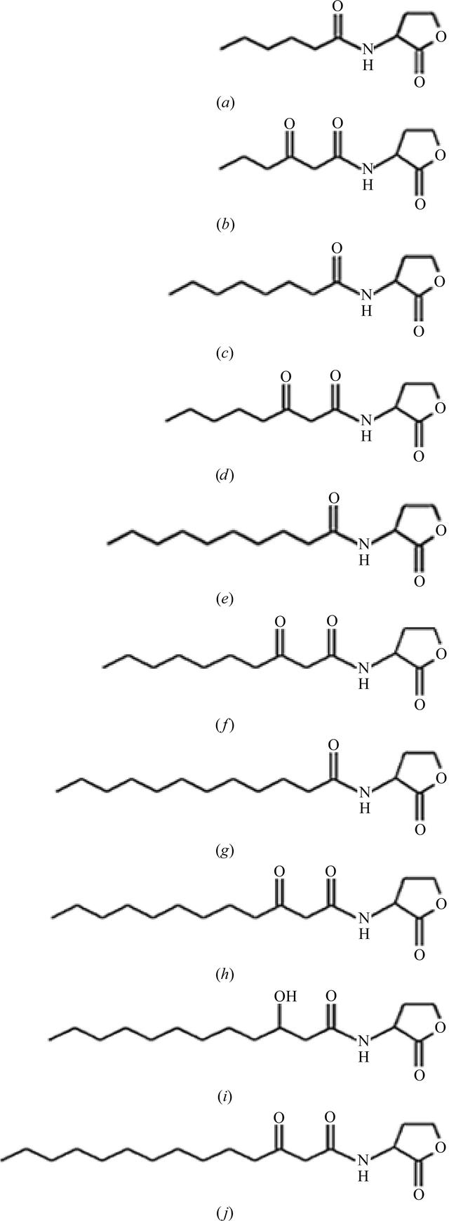 [Figure 2]