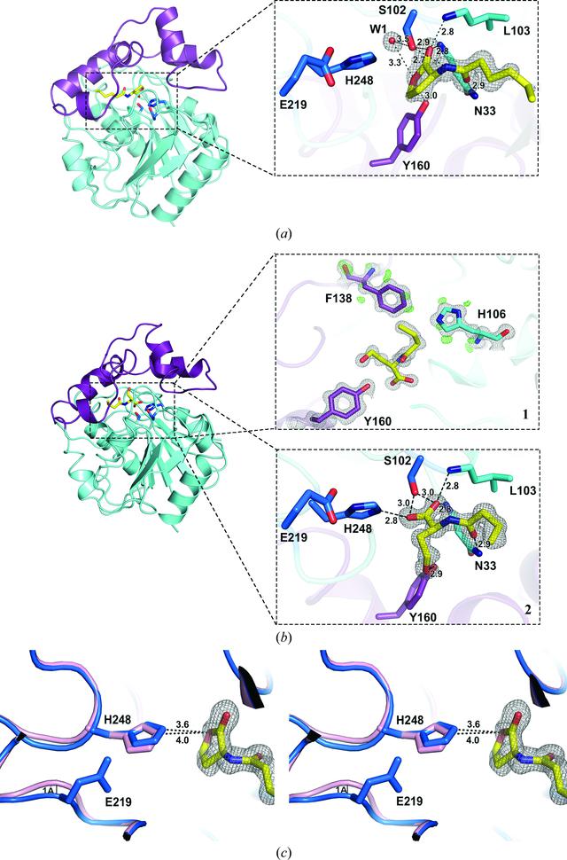 [Figure 3]