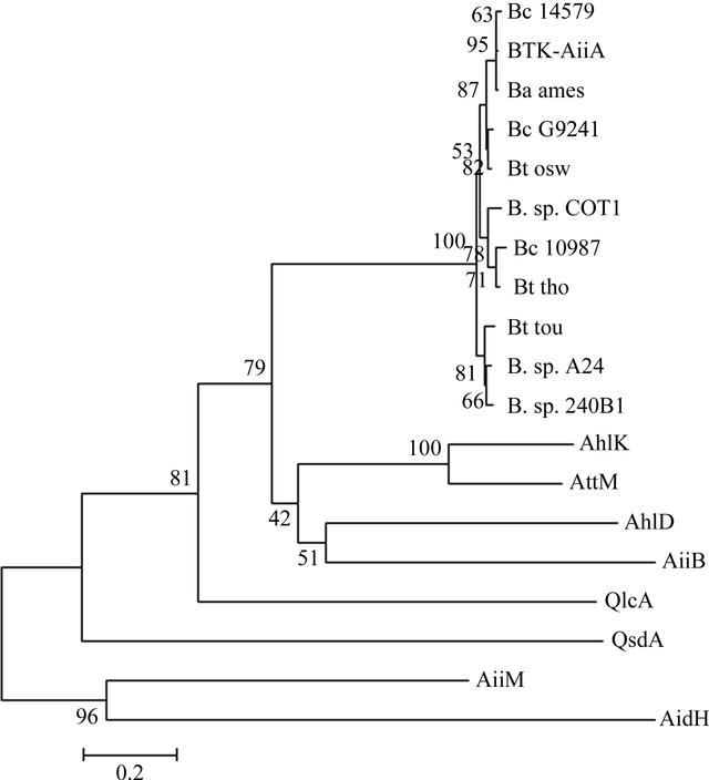 [Figure 5]