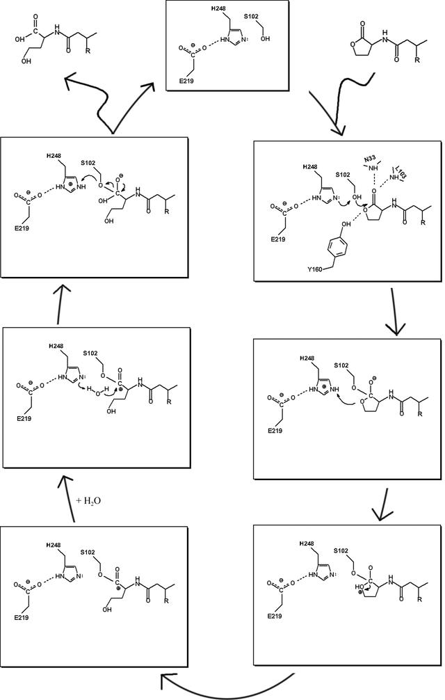 [Figure 6]