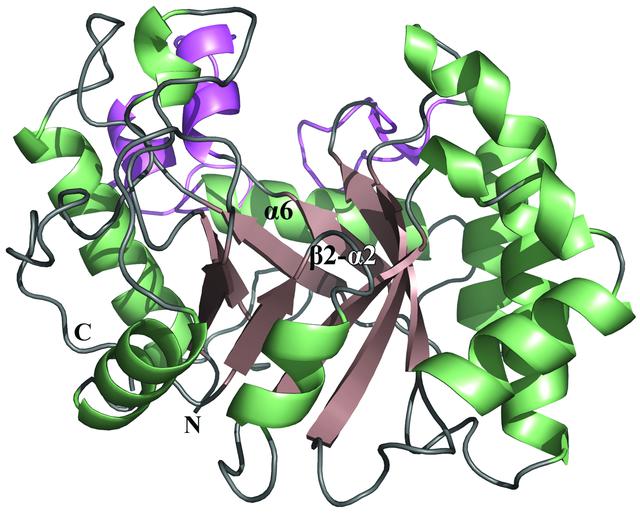 [Figure 1]