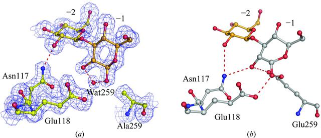 [Figure 6]