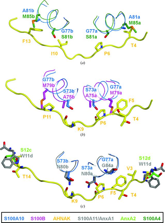 [Figure 6]