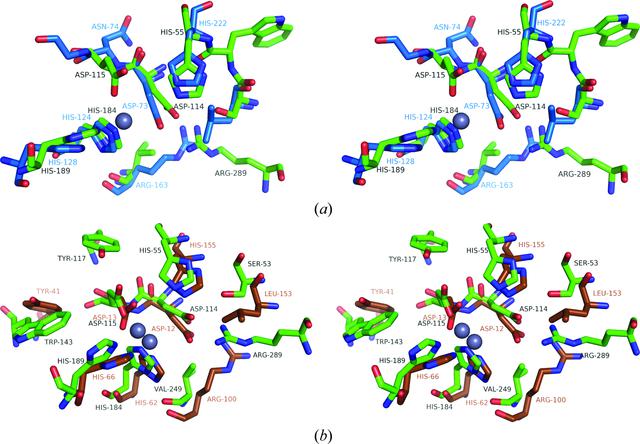 [Figure 4]