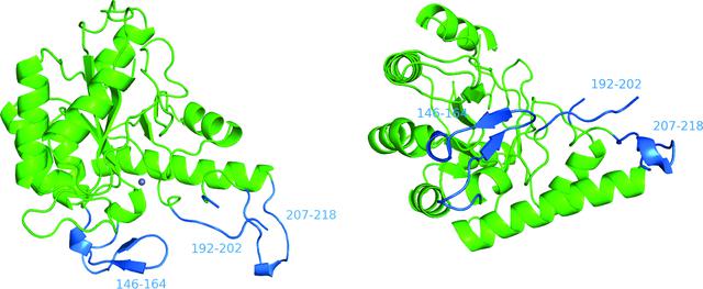 [Figure 5]