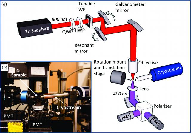 [Figure 1]