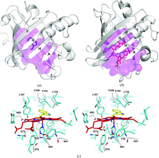 [Figure 5]