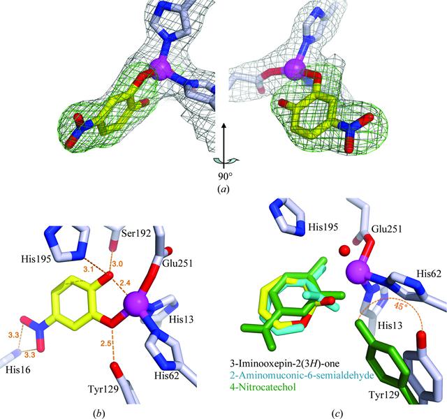 [Figure 5]