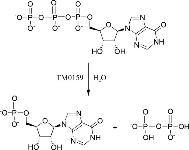 [Figure 1]