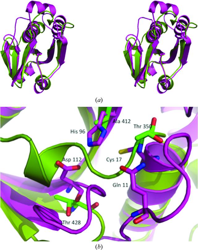 (IUCr) Structure of a periplasmic domain of the EpsAB fusion protein of ...