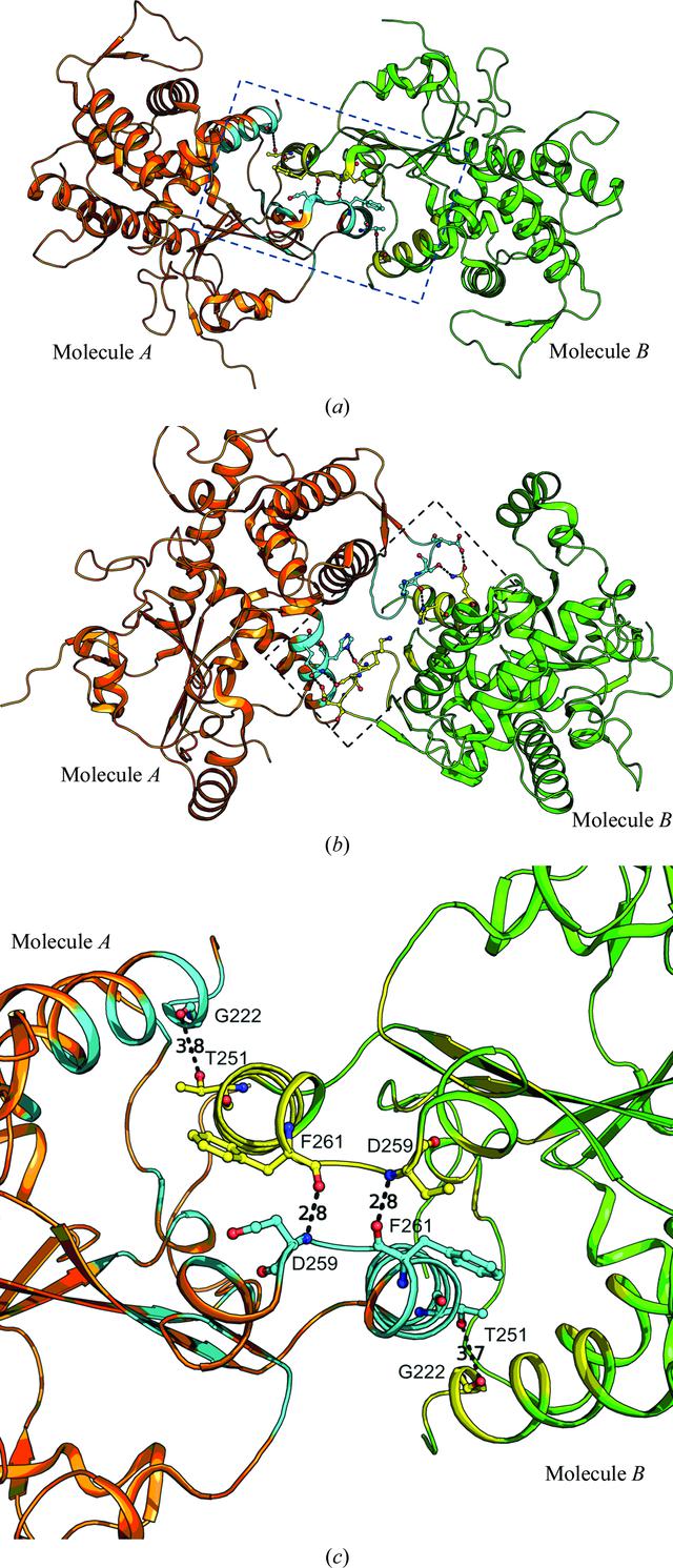 [Figure 3]