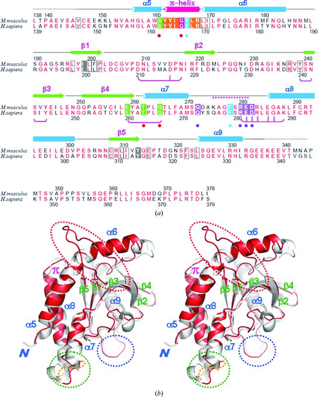 [Figure 1]