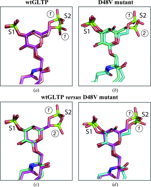 [Figure 4]