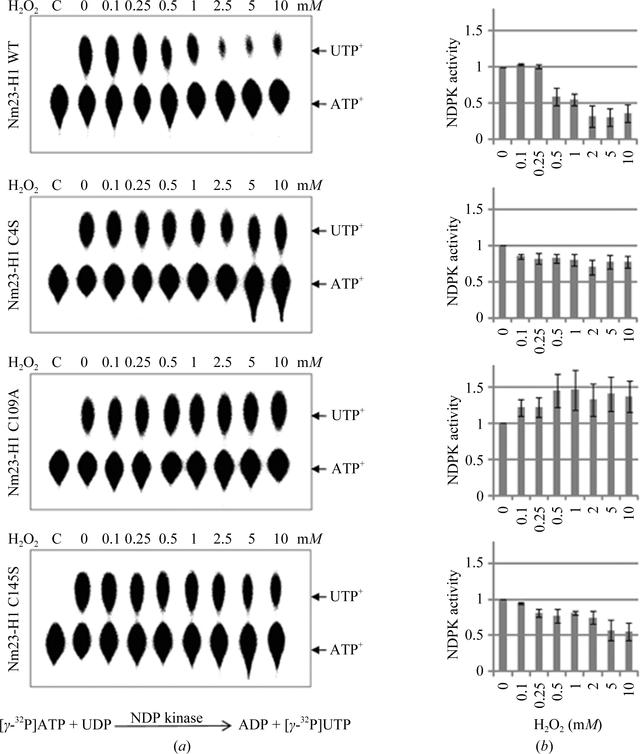 [Figure 2]