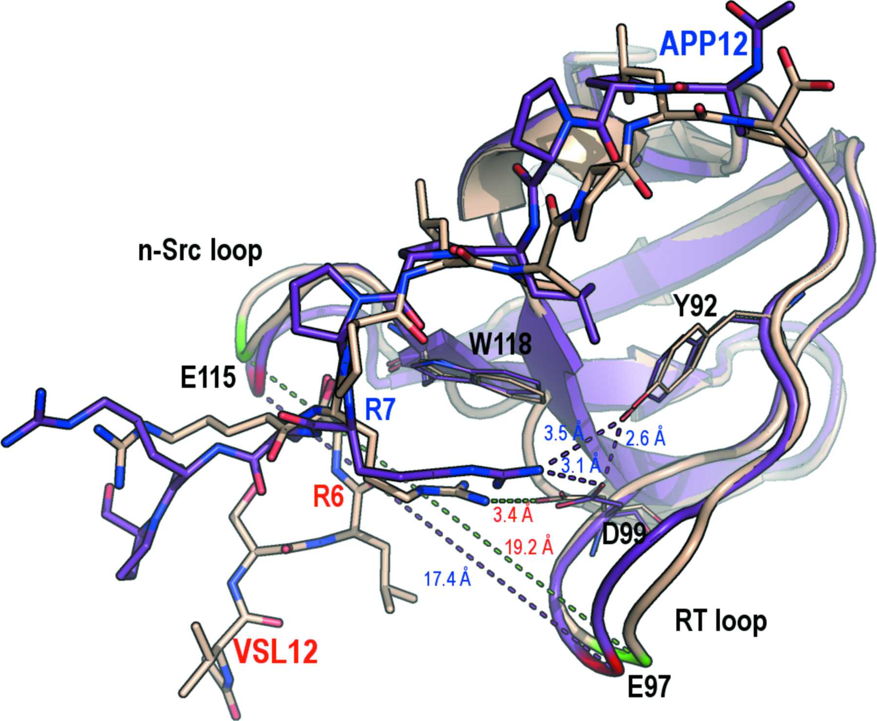 (IUCr) Atomic resolution structures of the c-Src SH3 domain in complex ...