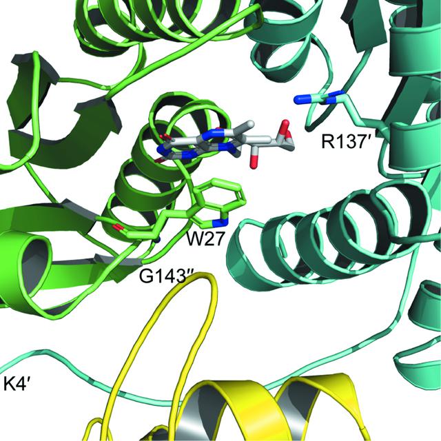 [Figure 8]