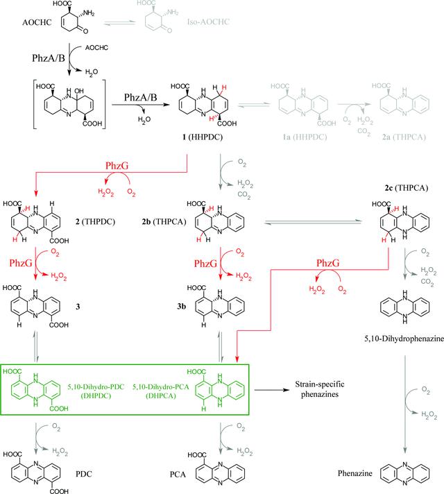 [Figure 4]