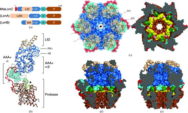 [Figure 1]