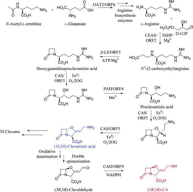 [Figure 1]