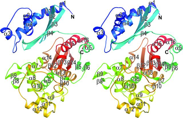 [Figure 3]