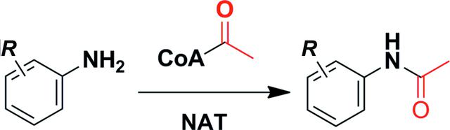 [Figure 1]