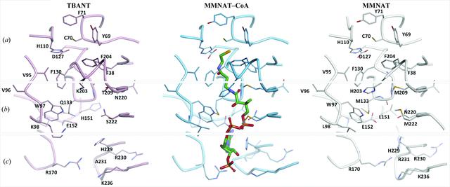 [Figure 6]