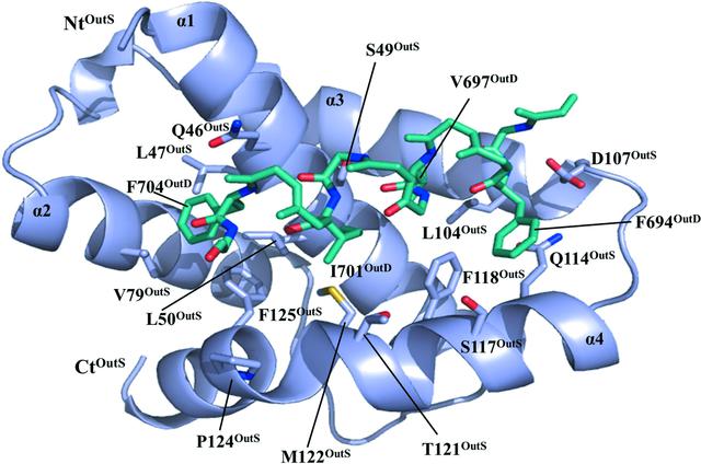 [Figure 2]