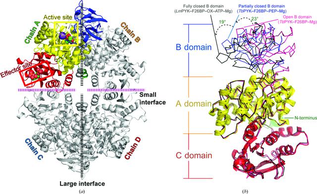 [Figure 1]