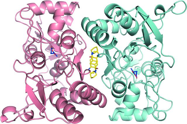 [Figure 3]