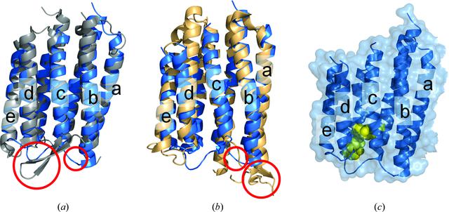 [Figure 8]