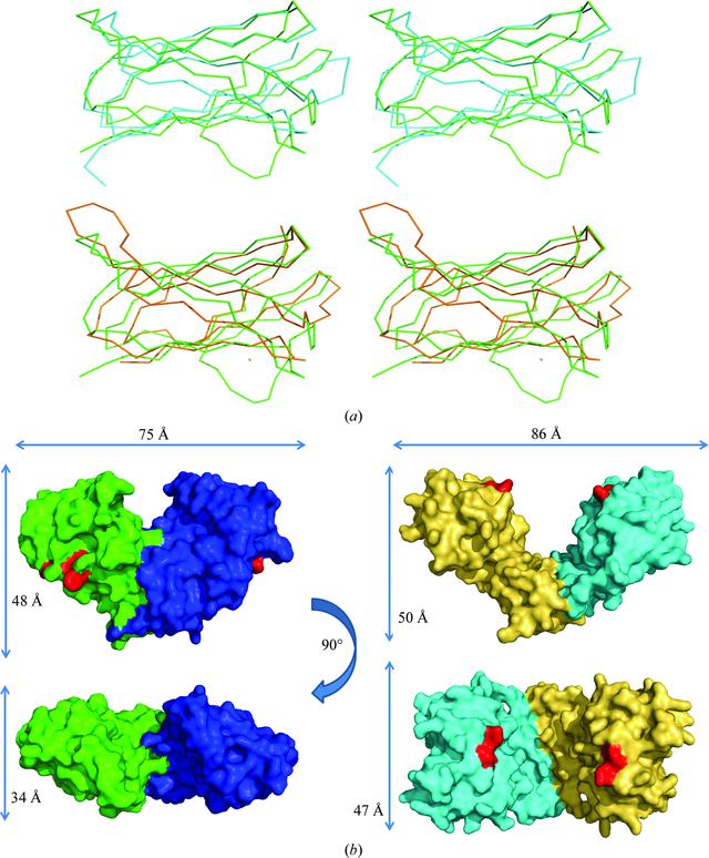 [Figure 3]