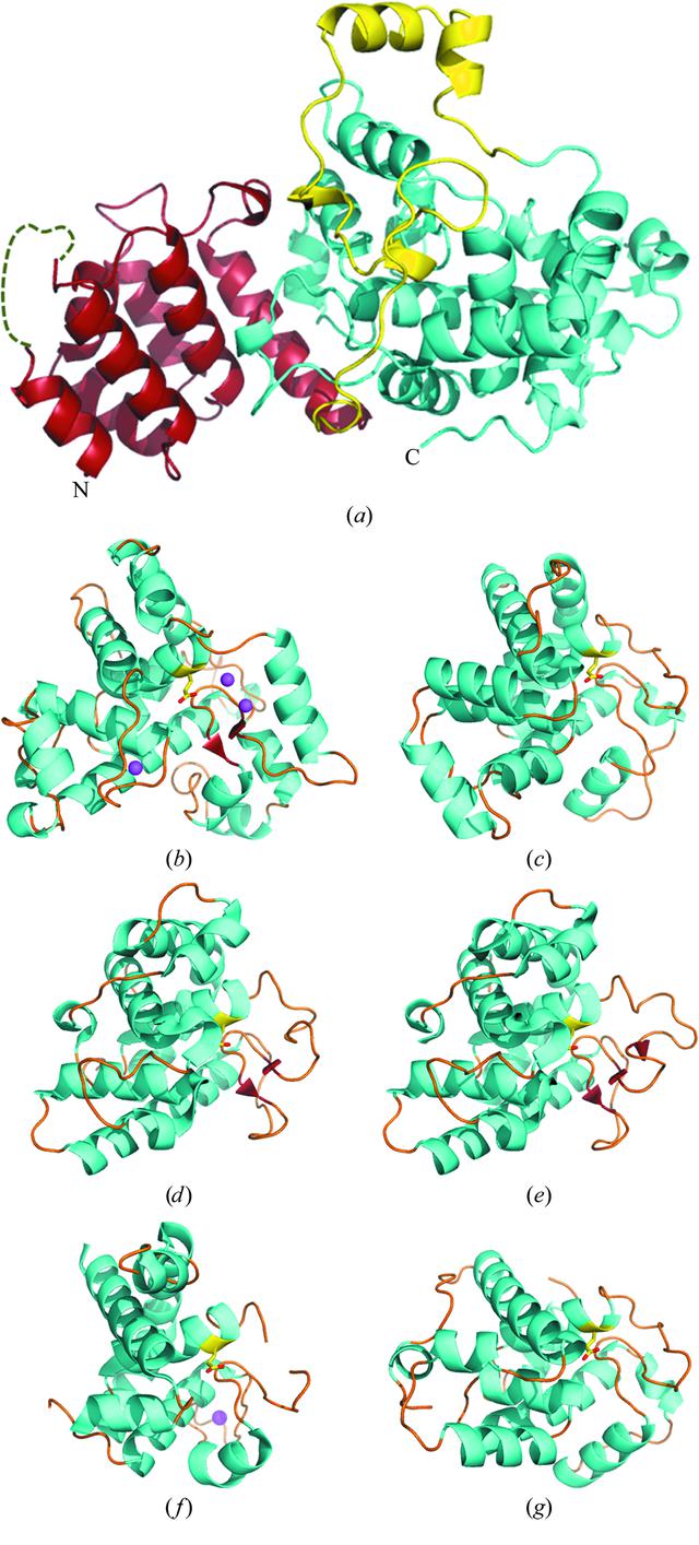 [Figure 2]