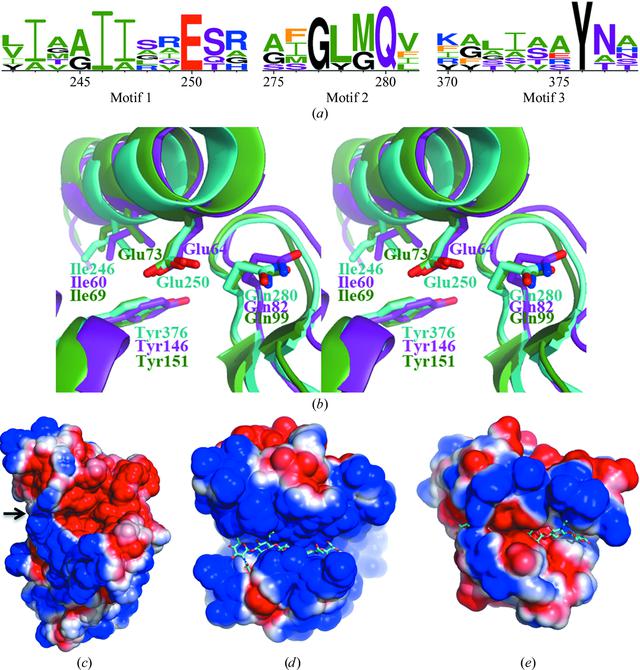 [Figure 4]