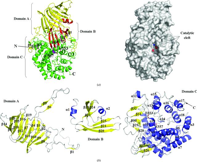 [Figure 2]