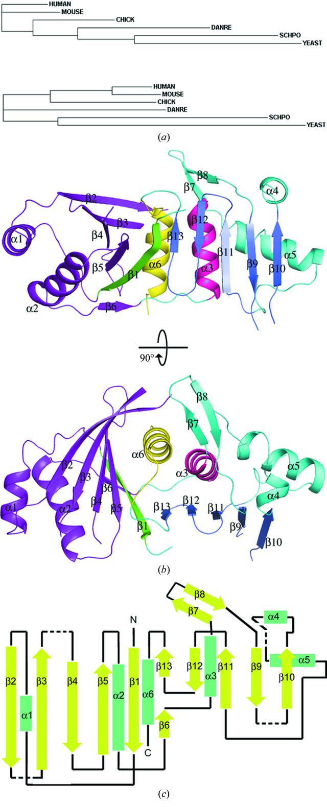 [Figure 1]