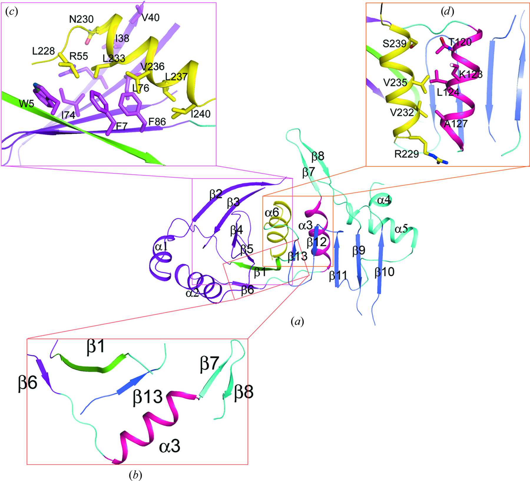 (IUCr) Structural insights into the role of the Chl4–Iml3 complex in ...