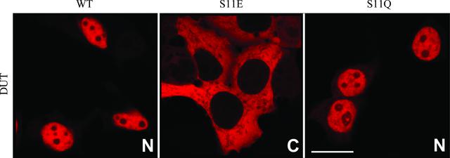 [Figure 2]