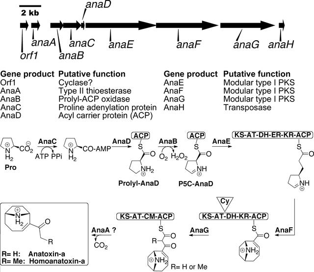 [Figure 1]