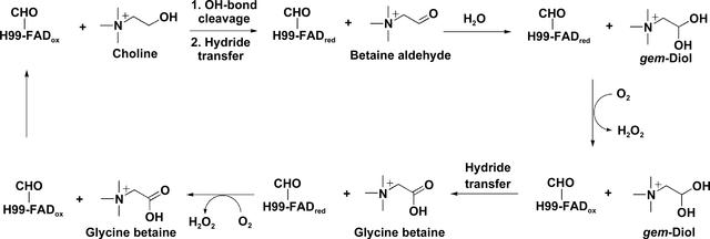 [Figure 1]