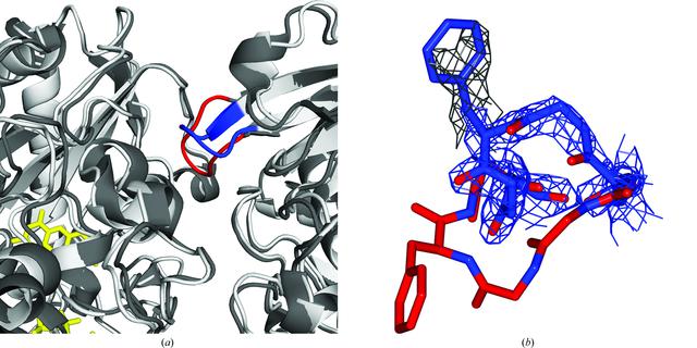 [Figure 4]