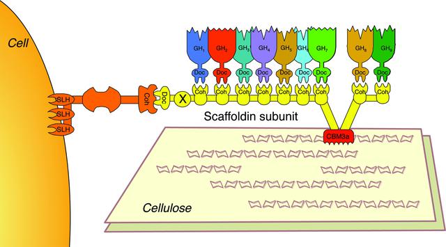 [Figure 1]